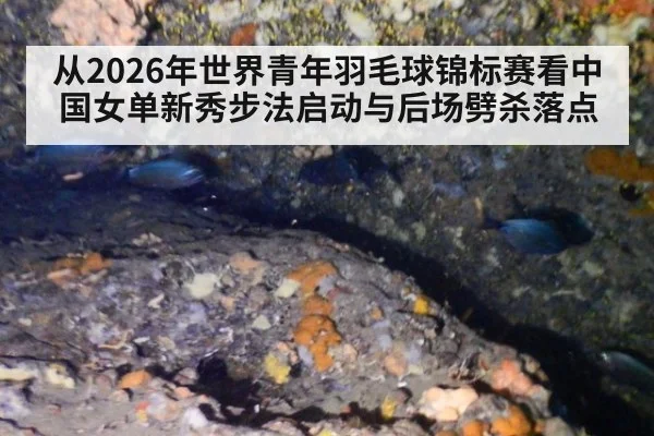从2026年世界青年羽毛球锦标赛看中国女单新秀步法启动与后场劈杀落点